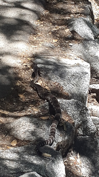 Serial-Travelers-Yosemite-valley-mist-trail-snake