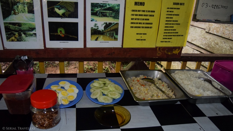 serial-travelers-jungle-taman-negara-malaisie-guesthouse-nasi-lemak