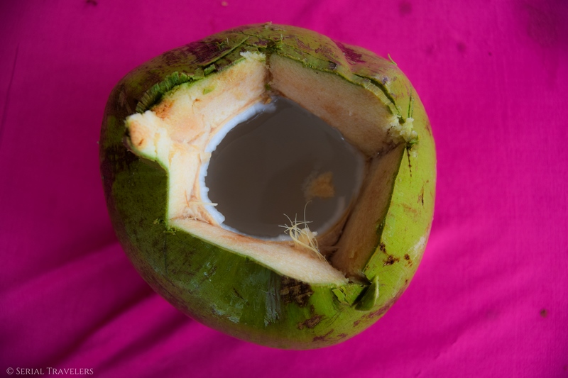 serial-travelers-malaisie-noix-coco-fruit-exotique