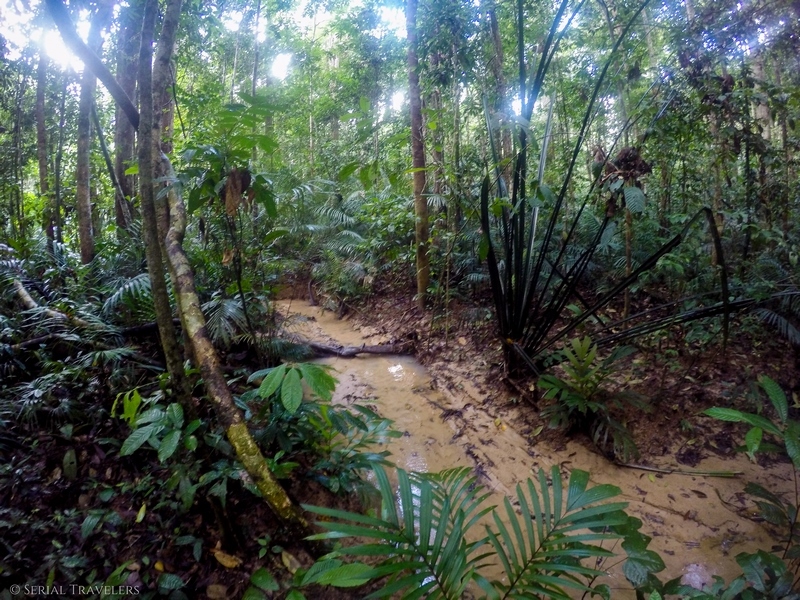 DCIM100GOPROGOPR6850.