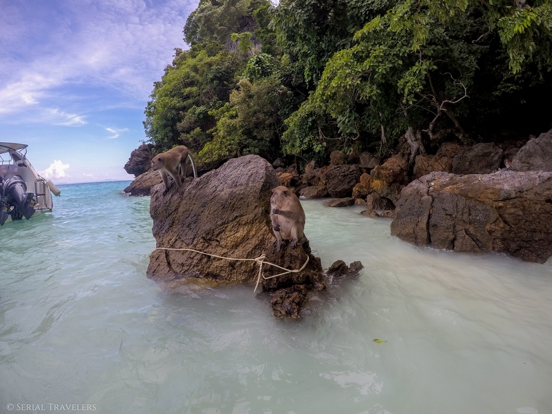serial-travelers-thailand-koh-phi-phi-monkey-beach6