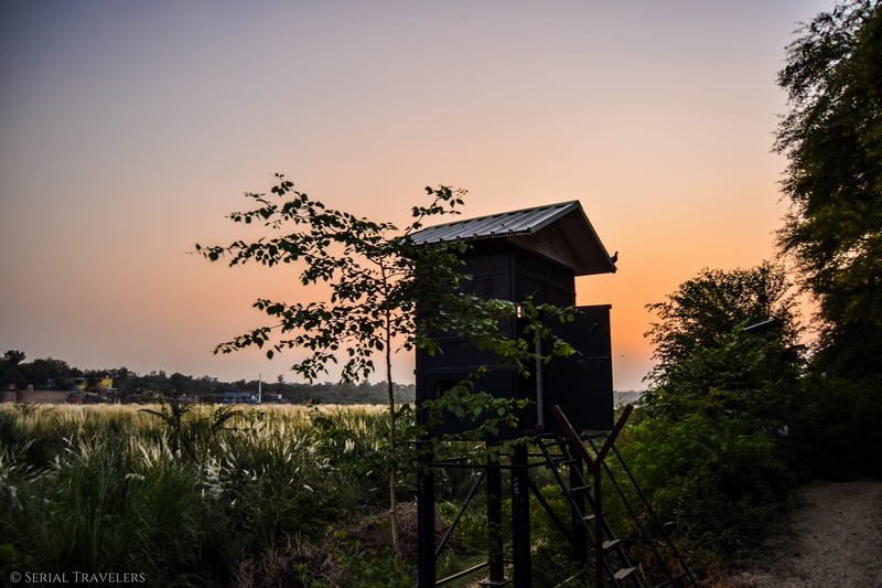 serial-travelers-india-delhi-rajasthan-agra-sunset-free-view