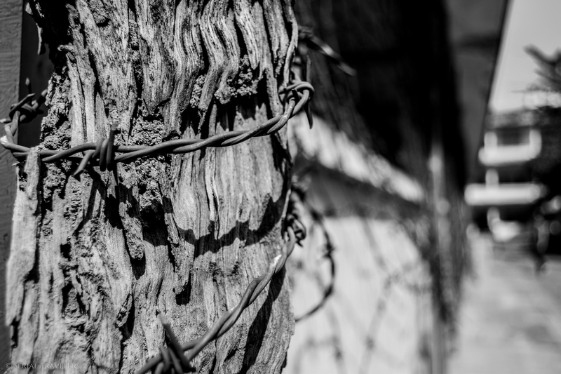 serial-travelers-cambodge-phnom-penh-musee-genocide-tuol-sleng-s21-khmer-rouge-barbele-3