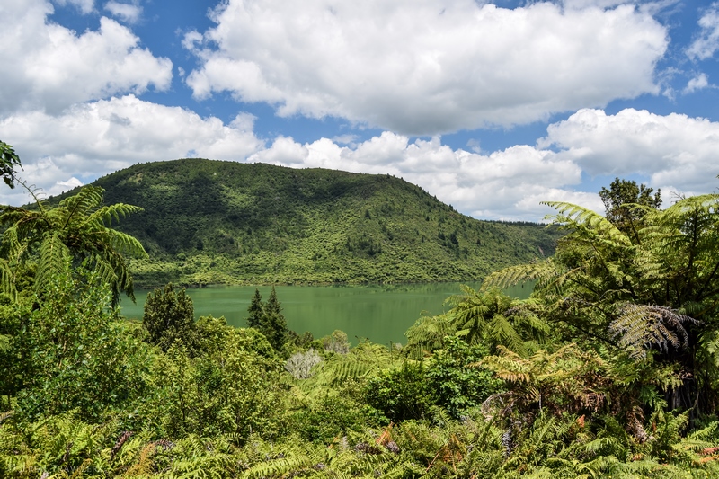 serial-travelers-nouvelle-zelande-rotorua-incontournable-gratuit-lac-vert-green-lake-rotokakahi