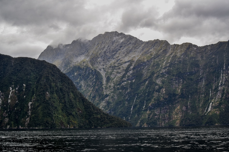 serial-travelers-nouvelle-zelande-milford-sound-cruise13