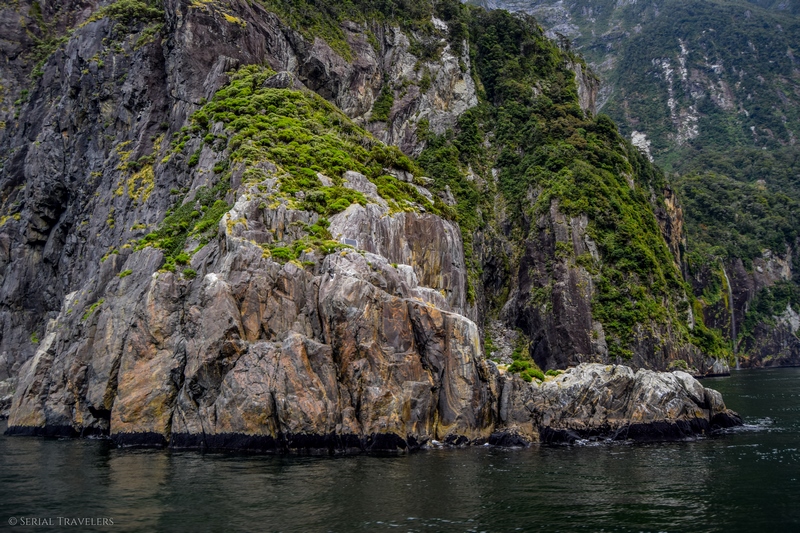 serial-travelers-nouvelle-zelande-milford-sound-cruise17