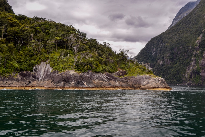 serial-travelers-nouvelle-zelande-milford-sound-cruise23