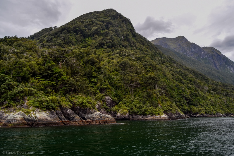 serial-travelers-nouvelle-zelande-milford-sound-cruise25