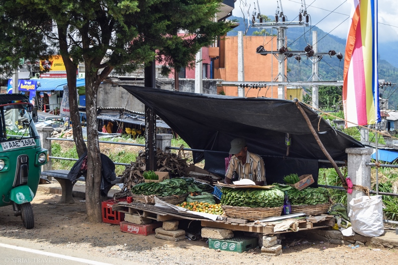 serial-travelers-sri-lanka-trajet-bus-local-ella-negombo-market