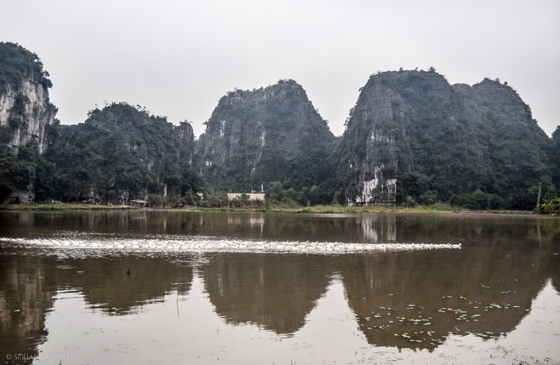 serial-travelers-vietnam-ninh-binh-tam-pain-sucre-oie