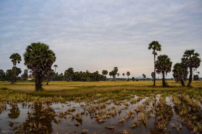 serial-travelers-cambodge-kampot-campagne13