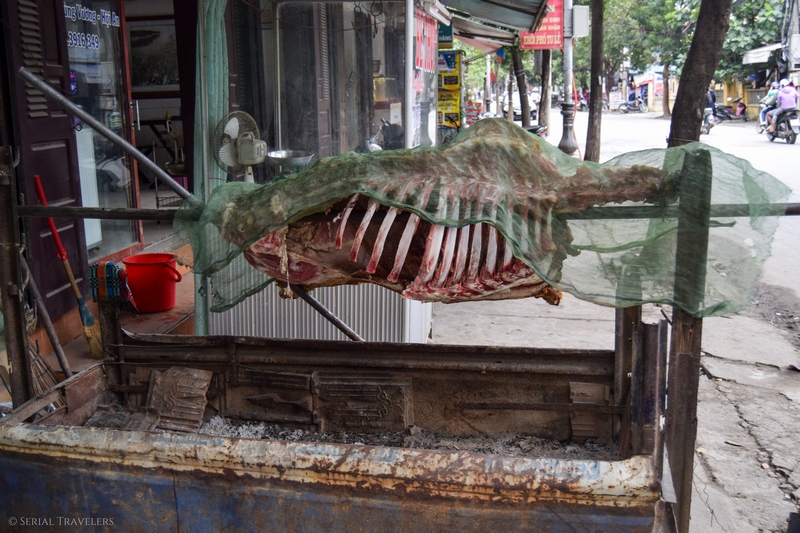 serial-travelers-vietnam-hoi-an-carcasse