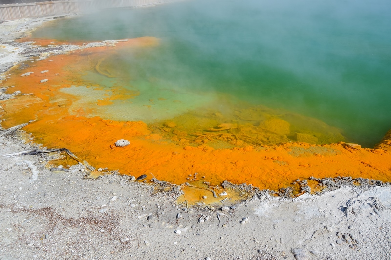 serial-travelers-nouvelle-zelande-wai-o-tapu-champagne-pool3
