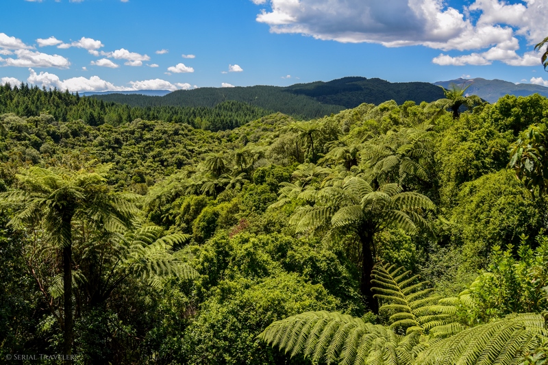 serial-travelers-nouvelle-zelande-waimangu-volcanic-valley1