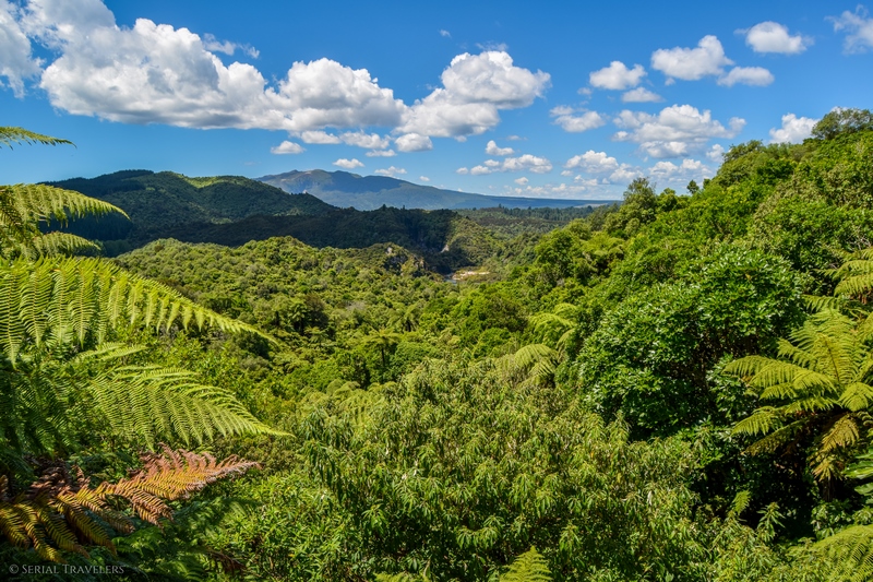 serial-travelers-nouvelle-zelande-waimangu-volcanic-valley2