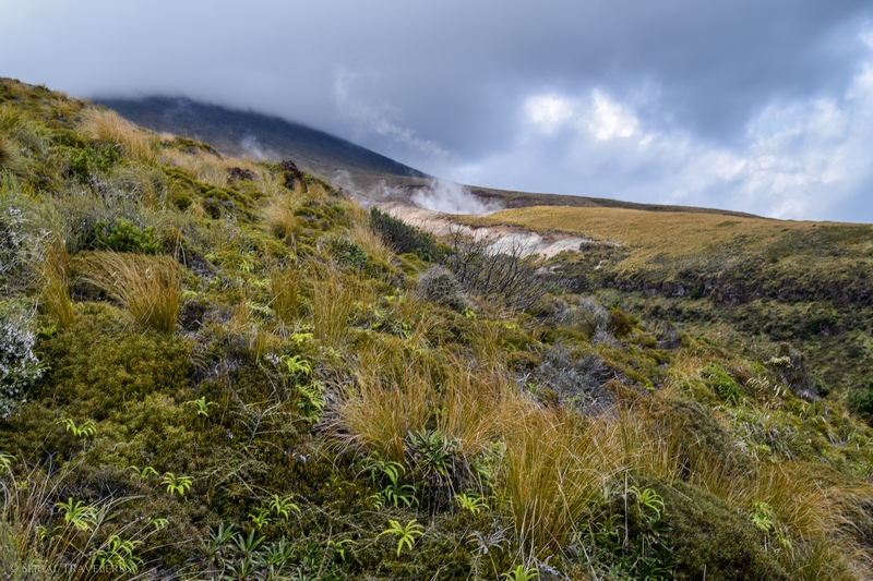 serial-travelers-tongariro-alpine-crossing-rotopaunga-valley-down2
