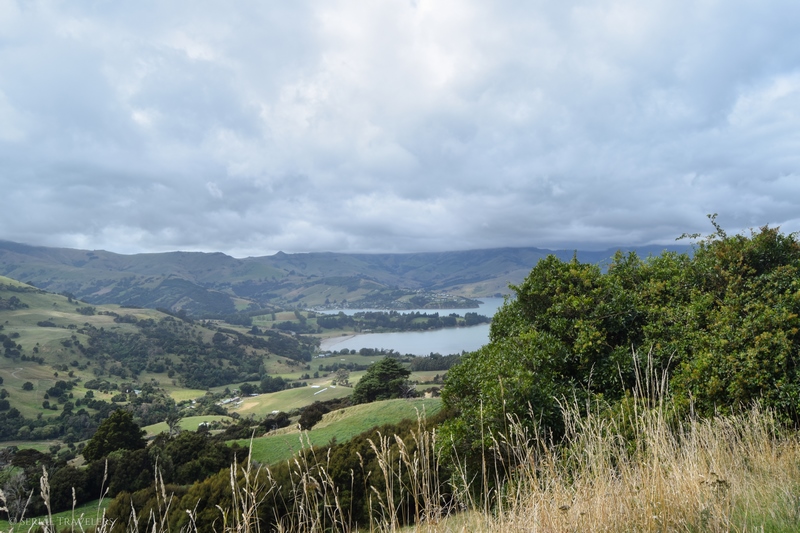 serial-travelers-nouvelle-zelande-akaroa-peninsule-robinsons-bay