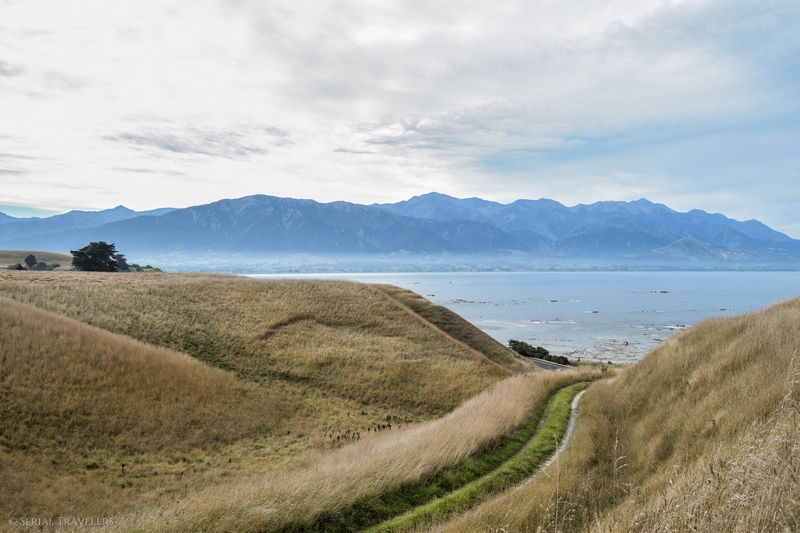 serial-travelers-nouvelle-zelande-kaikoura-mer-montagne-une-photo