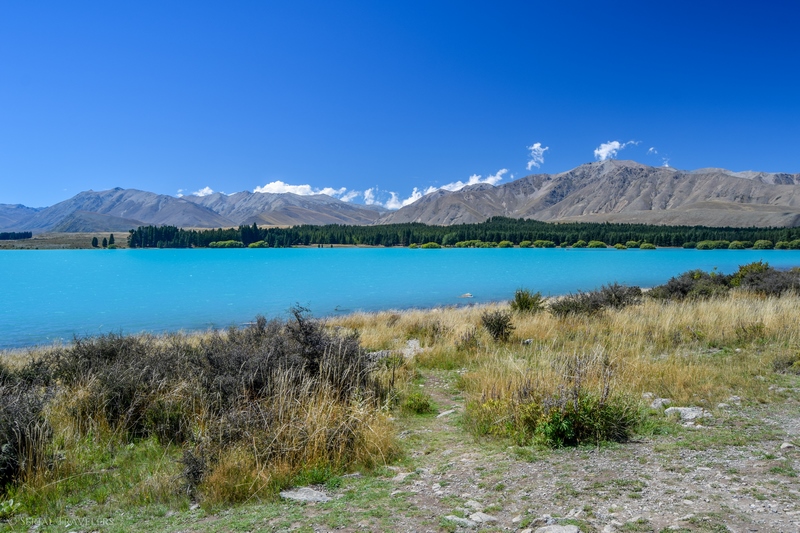 serial-travelers-nouvelle-zelande-lac-tekapo-21