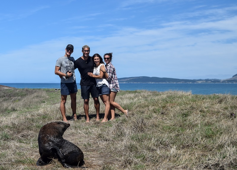 serial-travelers-nouvelle-zelande-moeraki-katies-point-lighthouse-reserve-otarie-4