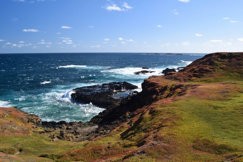 serial-travelers-australie-roadtrip-van-phillips-island-7 (Copier)