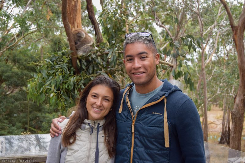 serial-travelers-australie-roadtrip-van-phillips-island-koala-conservation-center-2 (Copier)