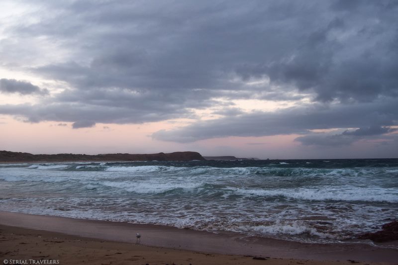 serial-travelers-australie-roadtrip-van-phillips-island-pingouin-parade-2 (Copier)