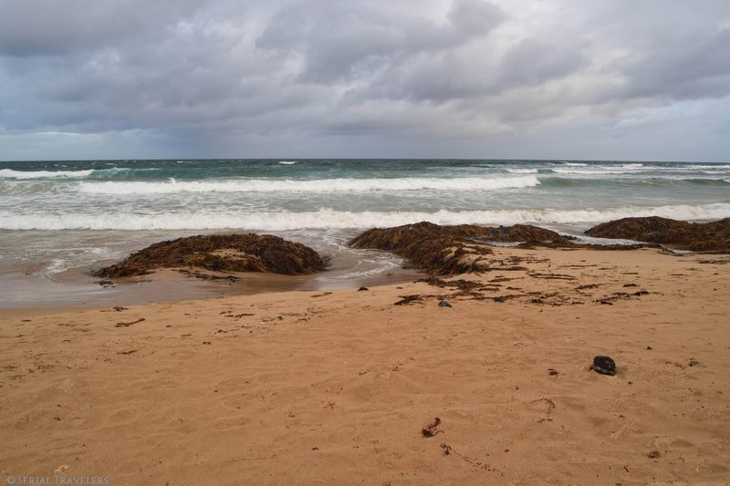 serial-travelers-australie-roadtrip-van-phillips-island-pingouin-parade (Copier)