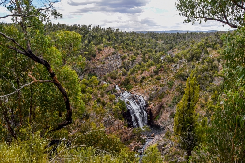 serial-travelers-australie-the-grampians-mckenzie-falls-lookout6