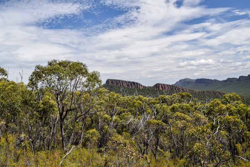 serial-travelers-australie-the-grampians-mount-william-road10