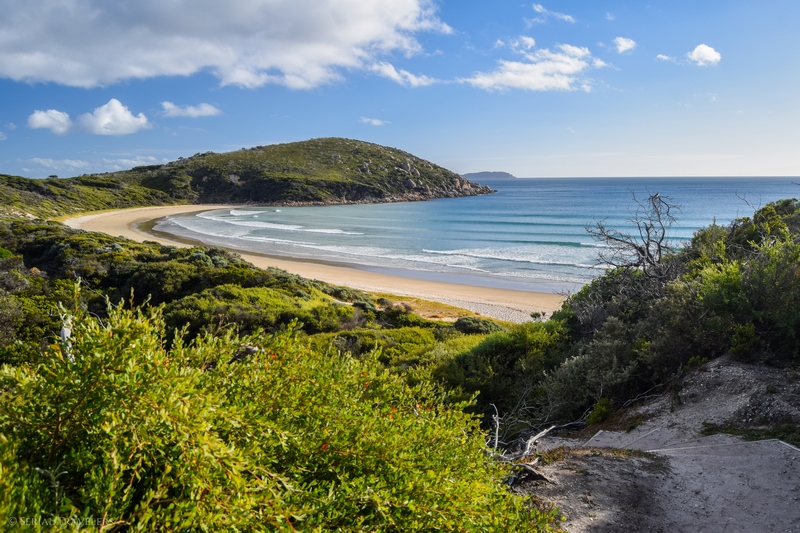 serial-travelers-australie-wilsons-promontory-national-park-picnic-bay4