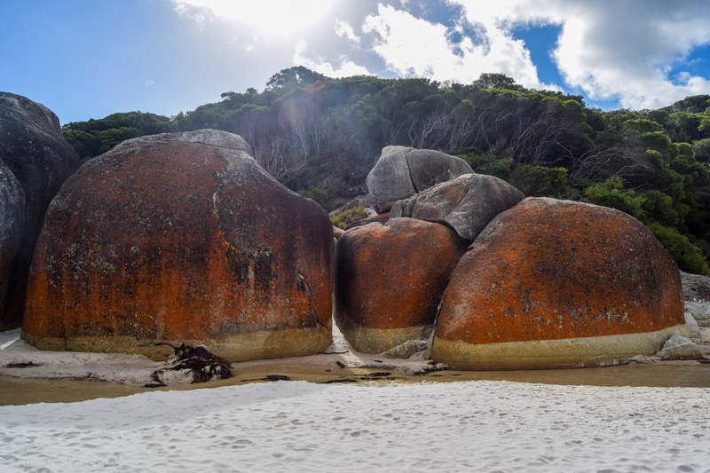 serial-travelers-australie-wilsons-promontory-national-park-squeaky-beach10