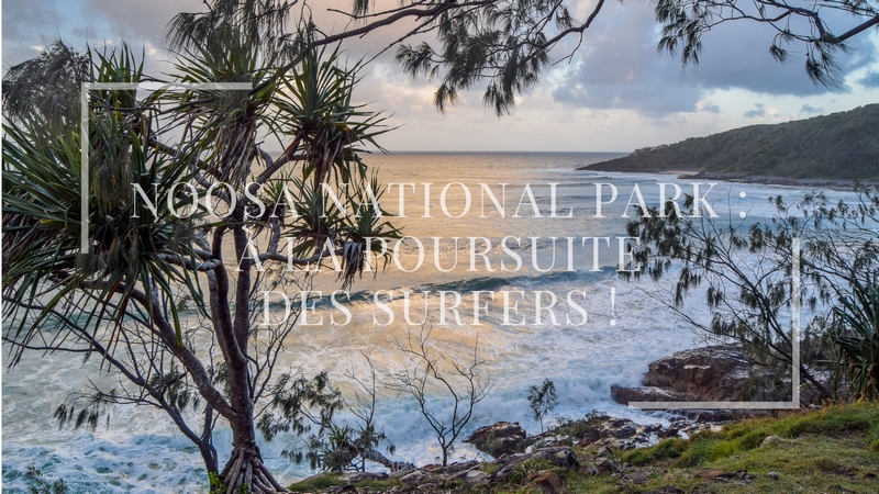 serial-travelers-australie-noosa-playfair