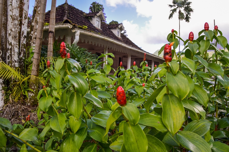 serial-travelers-martinique-jardin-de-balata-maison-traditionnelle