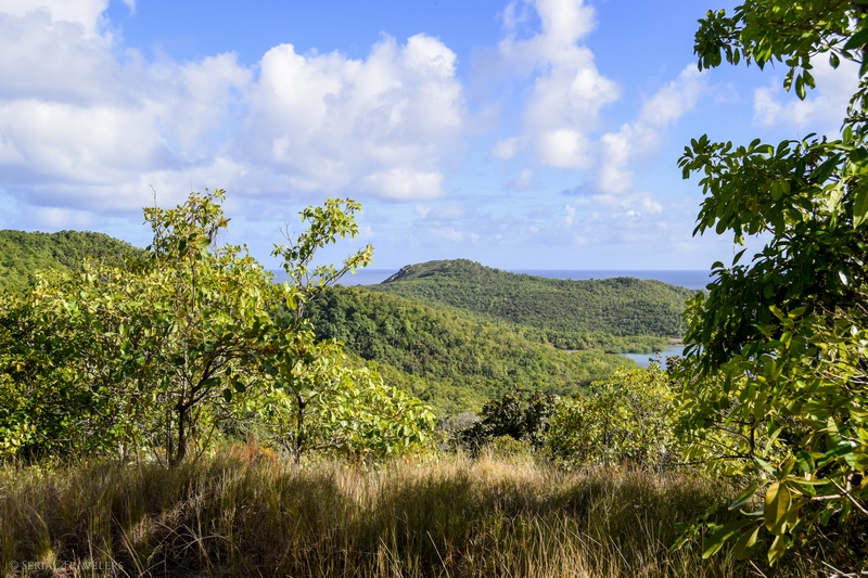 serial-travelers-martinique-randonnee-presquile-caravelle3