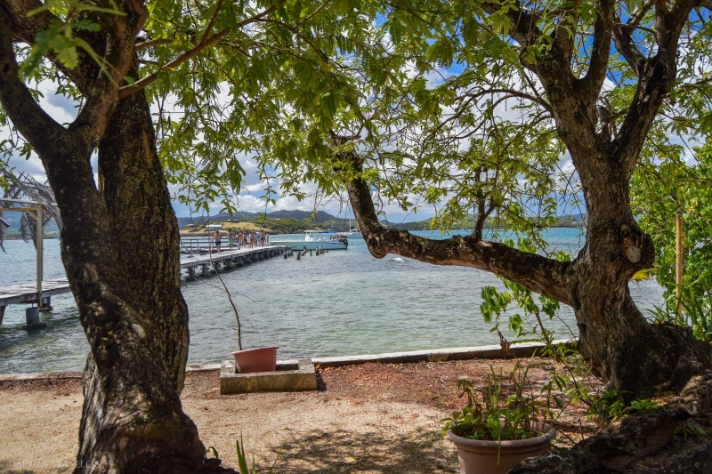 serial-travelers-martinique-fonds-blancs-du-françois-ilet-oscar1