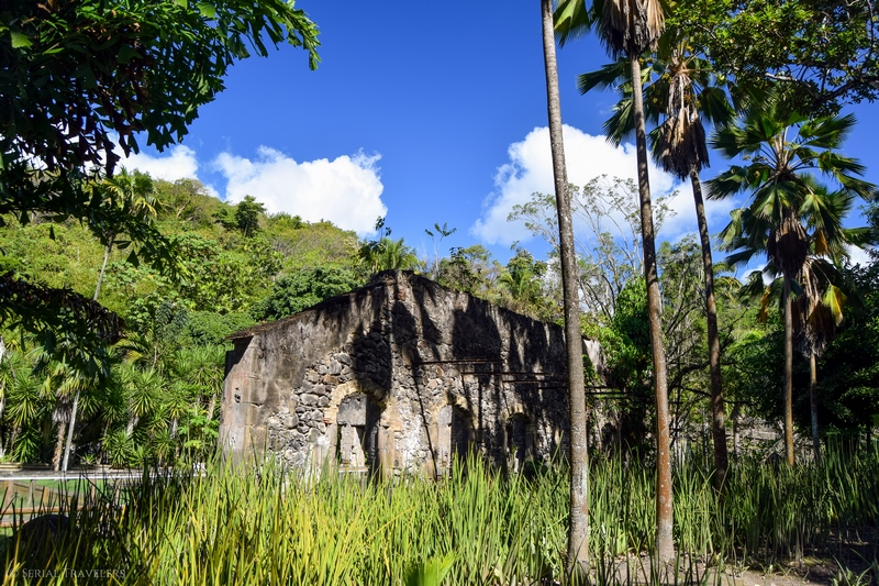 serial-travelers-martinique-zoo-martinique-7