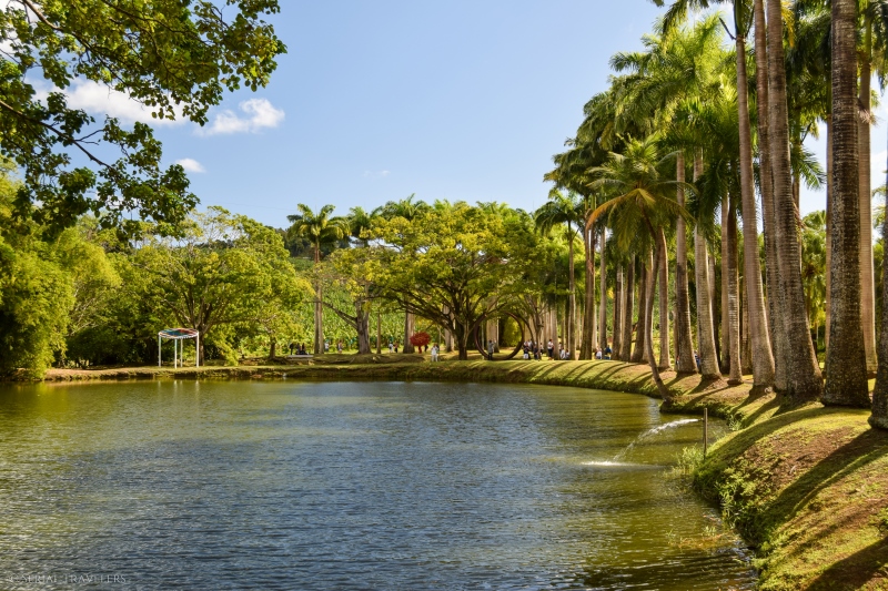serial-travelers-martinique-habitation-clement-jardin-botanique1