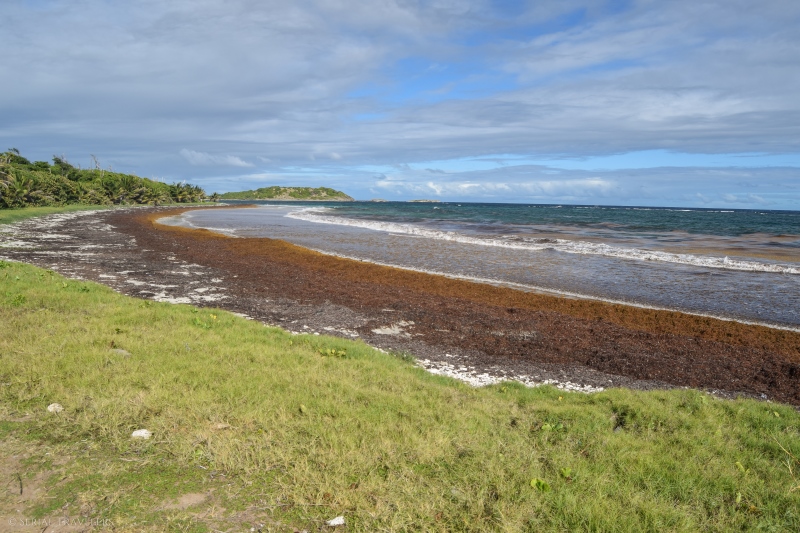 serial-travelers-martinique-trace-des-caps-anse-trabaud
