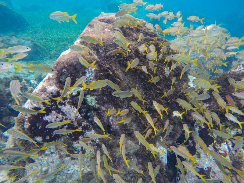 DCIM100GOPROGOPR8995.