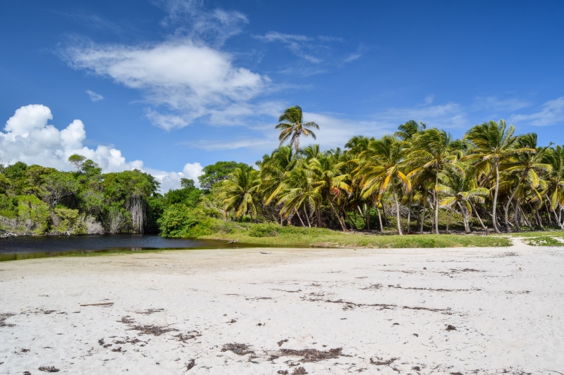 serial-travelers-martinique-trace-des-capsII-grande-anse-macabou5