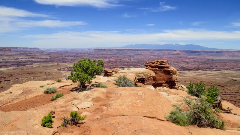 serial-travelers-ouest-americain-canyonlands-white-rim-overlook8